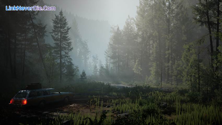 Hình ảnh trong game Pacific Drive (screenshot)