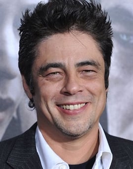 Diễn viên Benicio Del Toro